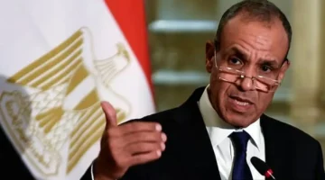 وزير الخارجية المصري يعلن موقف القاهرة: ندعم حل الدولتين بقيادة سعودية فرنسية